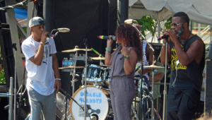 Image of Digable Planets