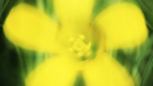 Image of Resavoir